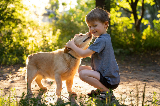 A Child Grieve When A Pet Dies – Compassionate Guidance & Support