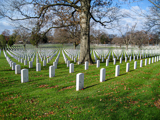 Cost of Burial Plots in the US: Prices, Location, and Affordable Alternatives (2025 Guide)