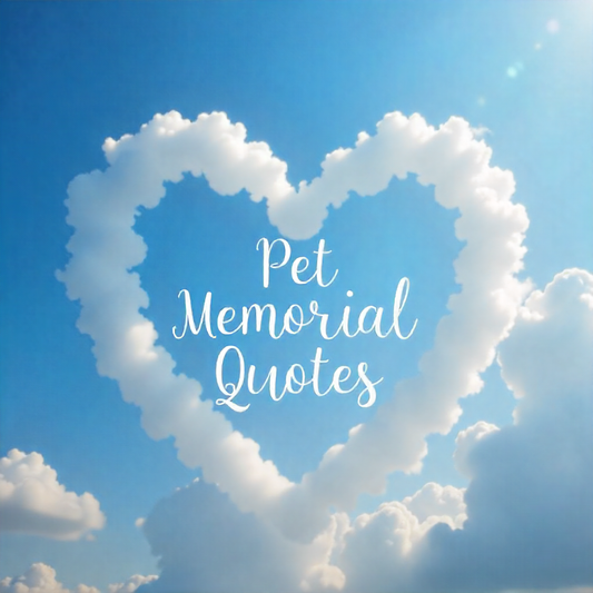 Beautiful Pet Memorial Quotes to Celebrate a Beloved Companion